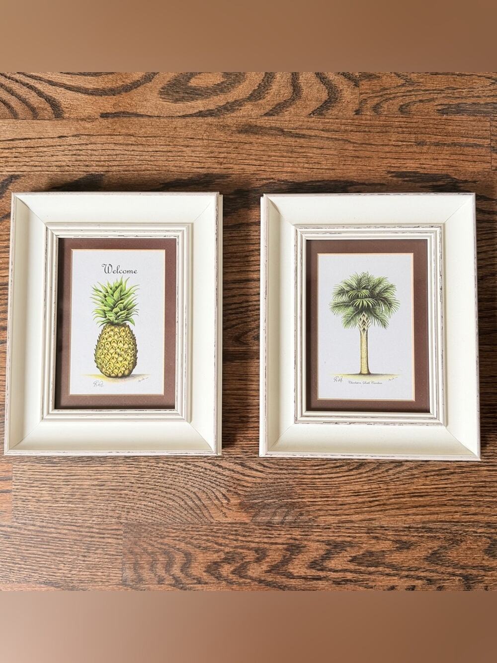 Charleston Pineapple Palm Wall Art Prints Signed George Roberts 2009 Coastal